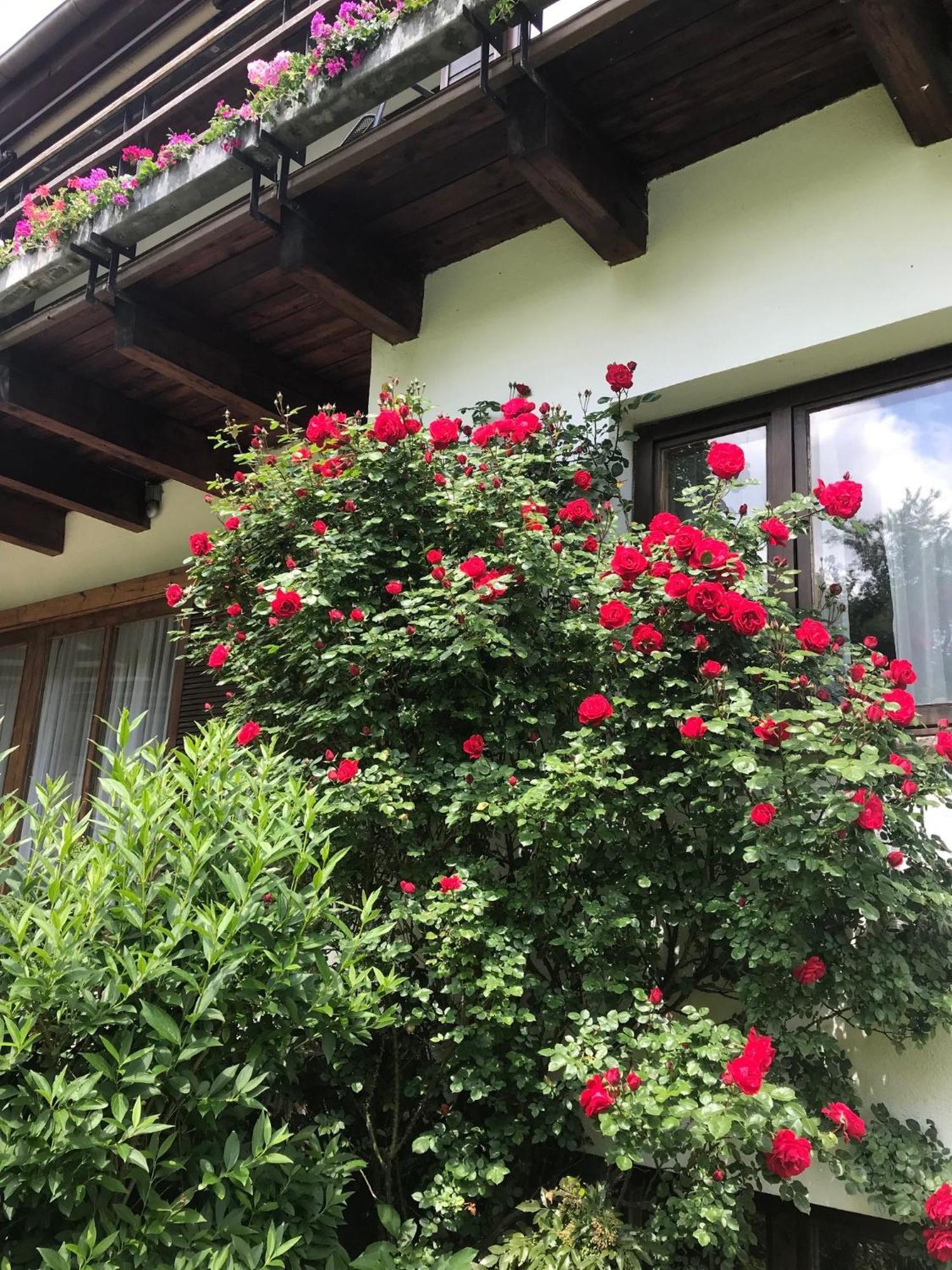 באדן Landhaus Am Kurpark מראה חיצוני תמונה